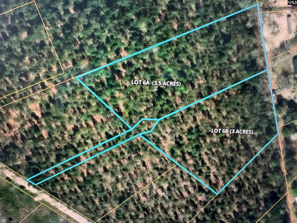 06B Otis Baughman S.r. Road, Wagener, SC 29164 - #1