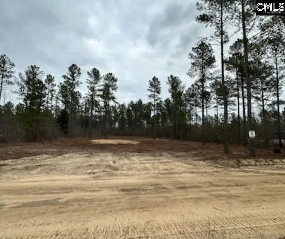 03 Otis Baughman S.r. Road, Wagener, SC 29164 - #1