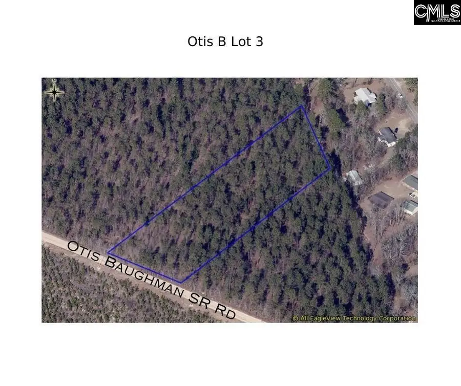 03 Otis Baughman S.r. Road, Wagener, SC 29164 - #2