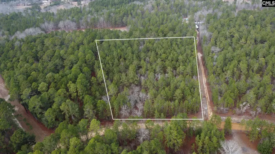 TBD Windsong Lane #15, Pelion, SC 29123 - #2