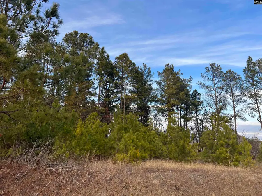 Bluefield Road, Lexington, SC 29073 - #2