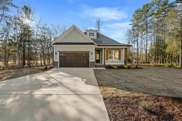 811 Elms Spinney Lane, Chapin, SC 29036