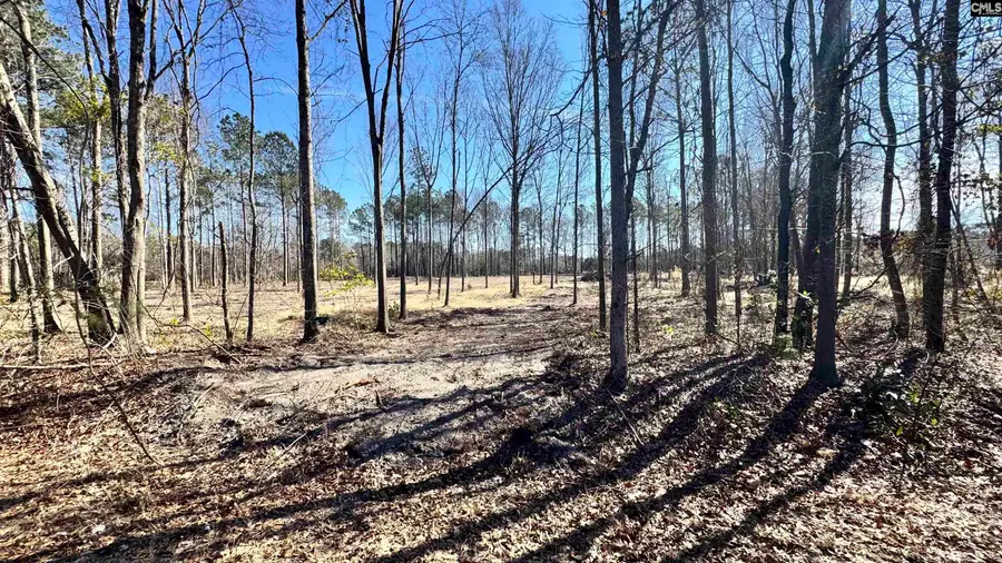 1045 Highway 1 N, Cassatt 2b, Cassatt, SC 29032 - #3