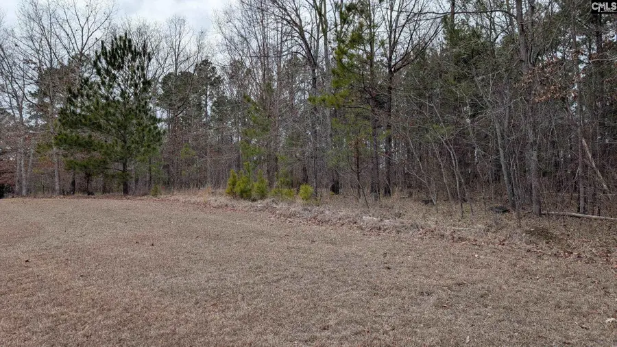 Lot 2 Retreat Way, Ridgeway, SC 29130 - #3