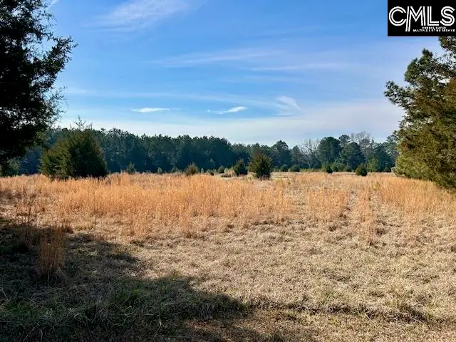 159 Claude Counts Road, Prosperity, SC 29127 - #1