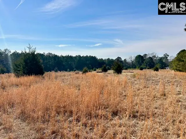 159 Claude Counts Road, Prosperity, SC 29127 - #2