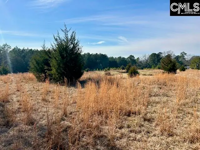 159 Claude Counts Road, Prosperity, SC 29127 - #3