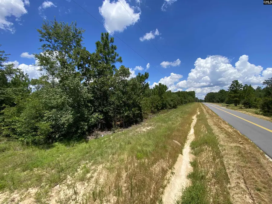 00 Bub Shumpert Road, Pelion, SC 29123 - #3