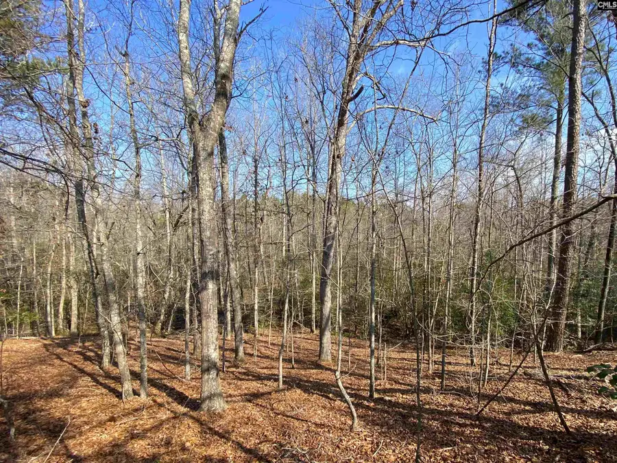 TBD 1 Juniper Road, Olar, SC 29843 - #2