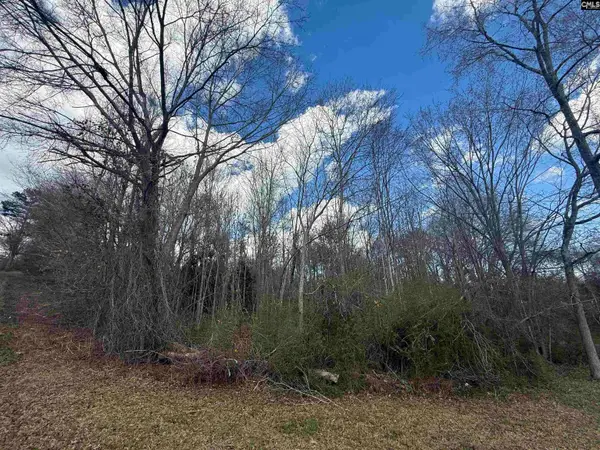 245 Slayton Street, Whitmire, SC 29178