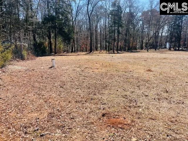 Maple Knoll Road, Prosperity, SC 29127 - #2