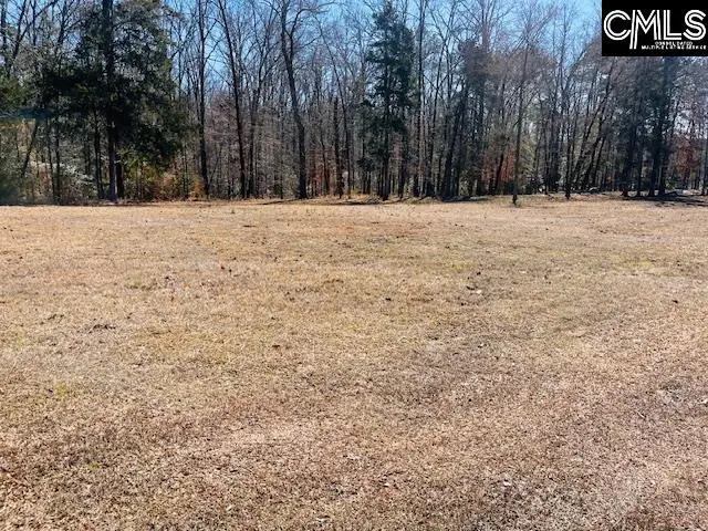 Maple Knoll Road, Prosperity, SC 29127 - #3