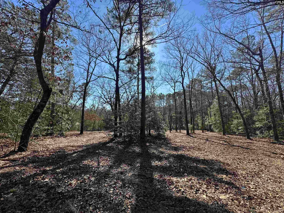 622 Juniper Springs Road, Gilbert, SC 29054 - #1