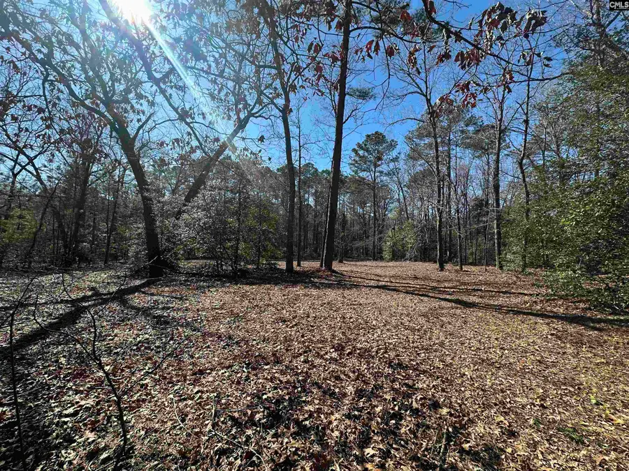 622 Juniper Springs Road, Gilbert, SC 29054 - #2