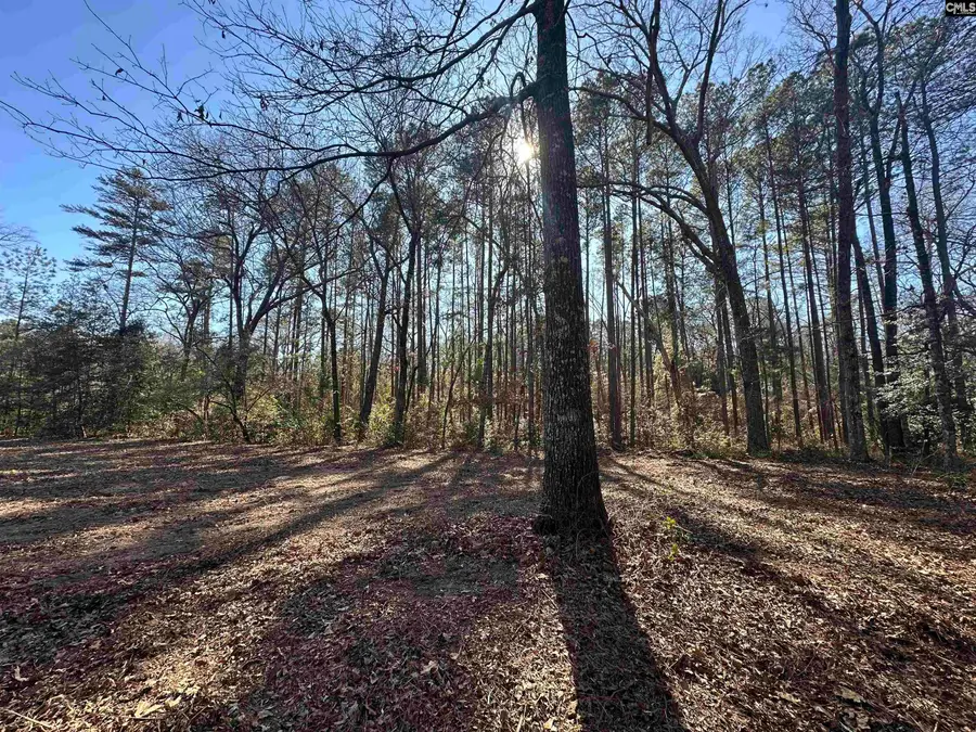 622 Juniper Springs Road, Gilbert, SC 29054 - #3