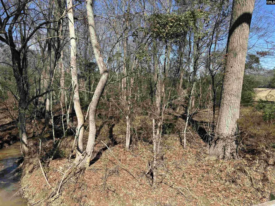 0 Bethany Road, Saluda, SC 29138 - #3