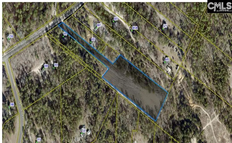 699 Crystal Springs Drive, Lexington, SC 29073 - #1