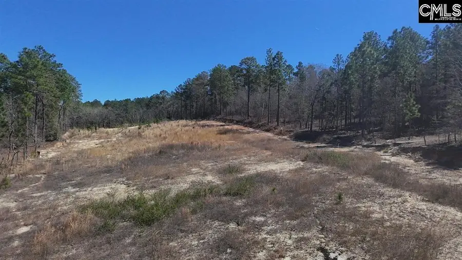 699 Crystal Springs Drive, Lexington, SC 29073 - #2