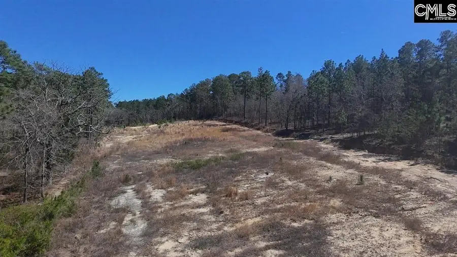 699 Crystal Springs Drive, Lexington, SC 29073 - #3