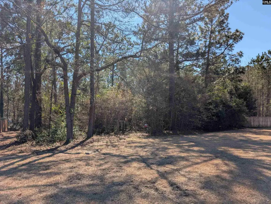 124 Sanibel Circle, Columbia, SC 29223 - #2