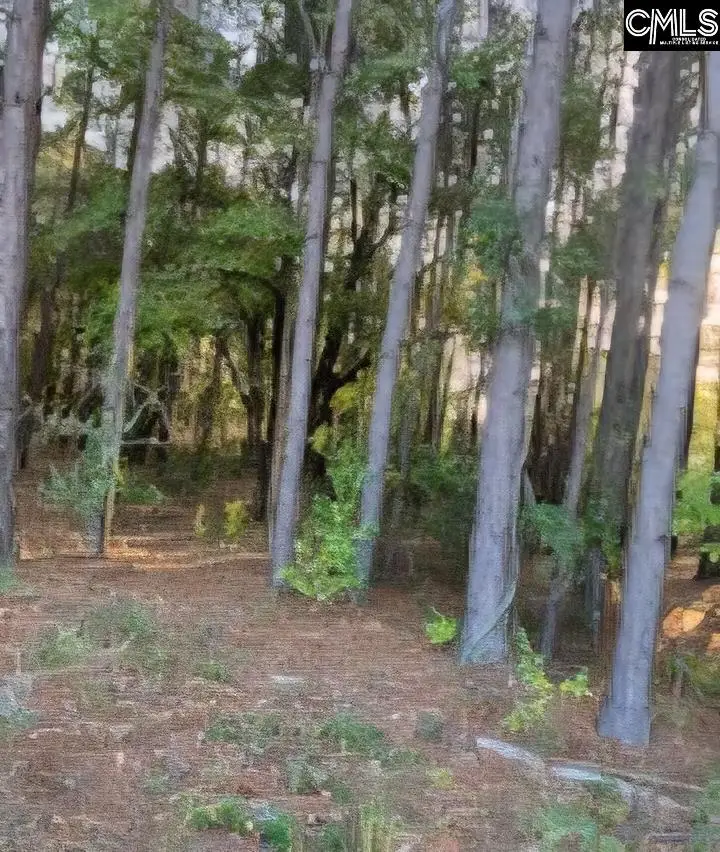 35 Simmons Dr., Camden, SC 29020 - #3