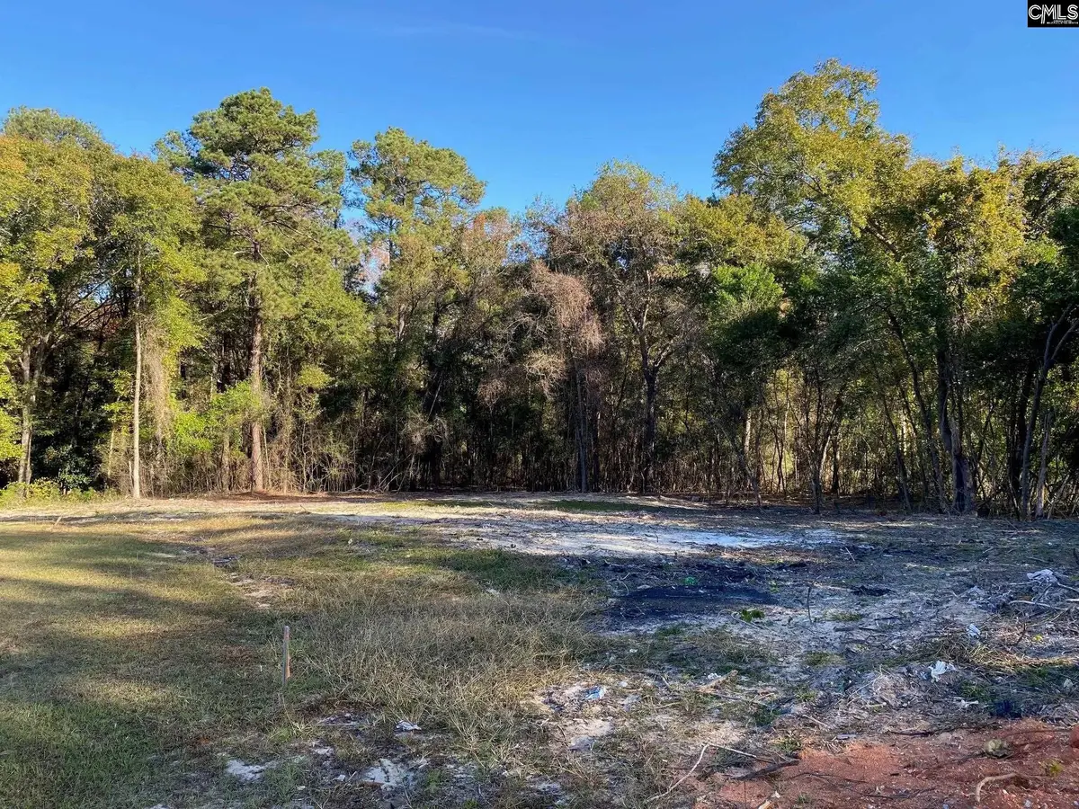 824 Anders Drive, Columbia, SC 29203 - #1