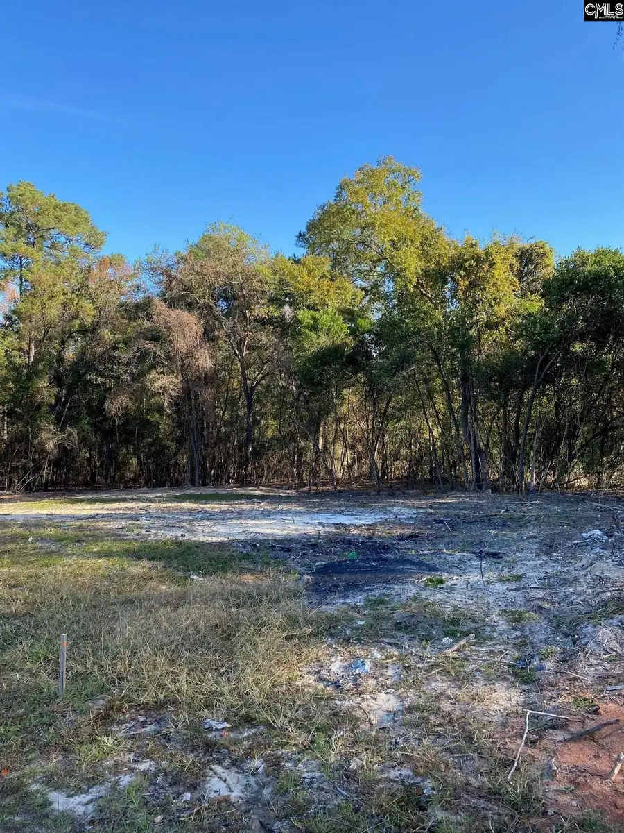 824 Anders Drive, Columbia, SC 29203 - #2