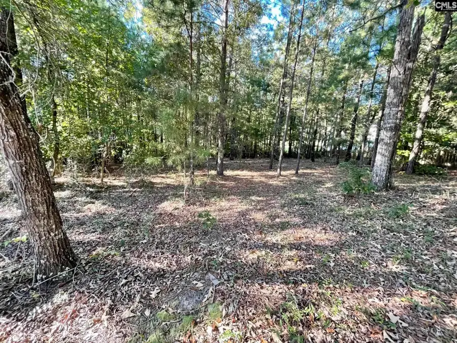 12 Manzanita Court, Elgin, SC 29045 - #2