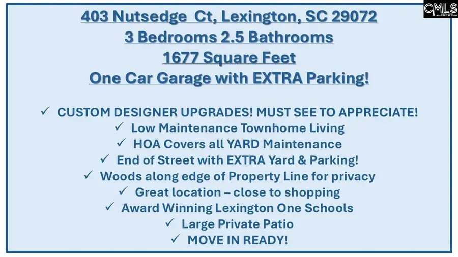 403 Nutsedge Court, Lexington, SC 29072 - #2