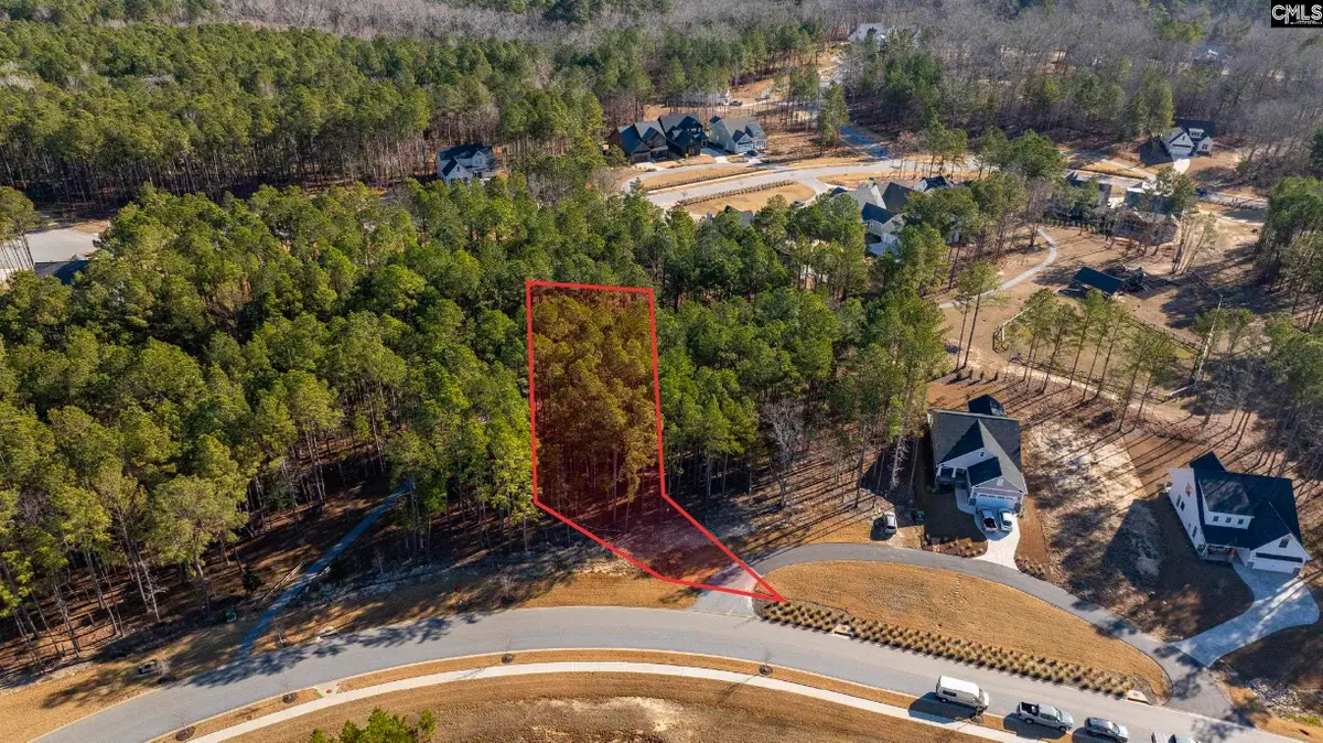 Lot 119 Stewart Landing Drive, Prosperity, SC 29127 - #1