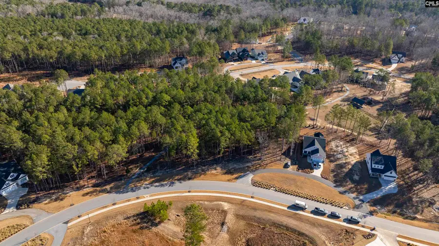 Lot 119 Stewart Landing Drive, Prosperity, SC 29127 - #3