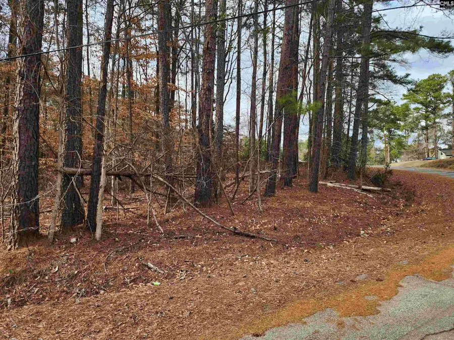 Lot 66 Kingswood Drive, Winnsboro, SC 29180 - #3