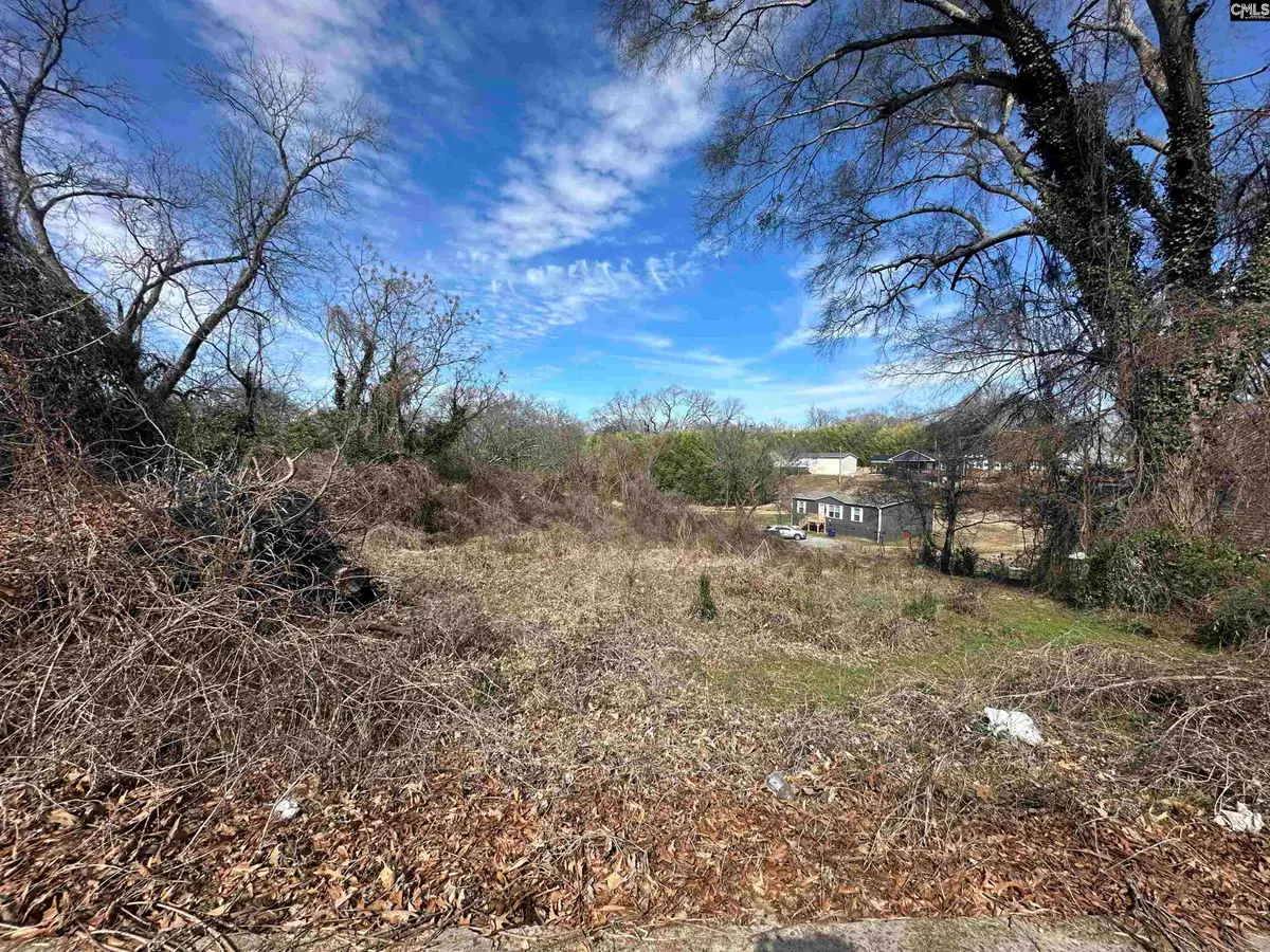 222 Church Street, Jonesville, SC 29353 - #1