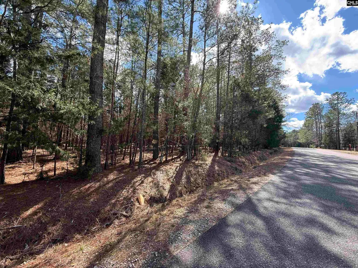 00 Ruby Riser Road, Batesburg, SC 29006 - #1