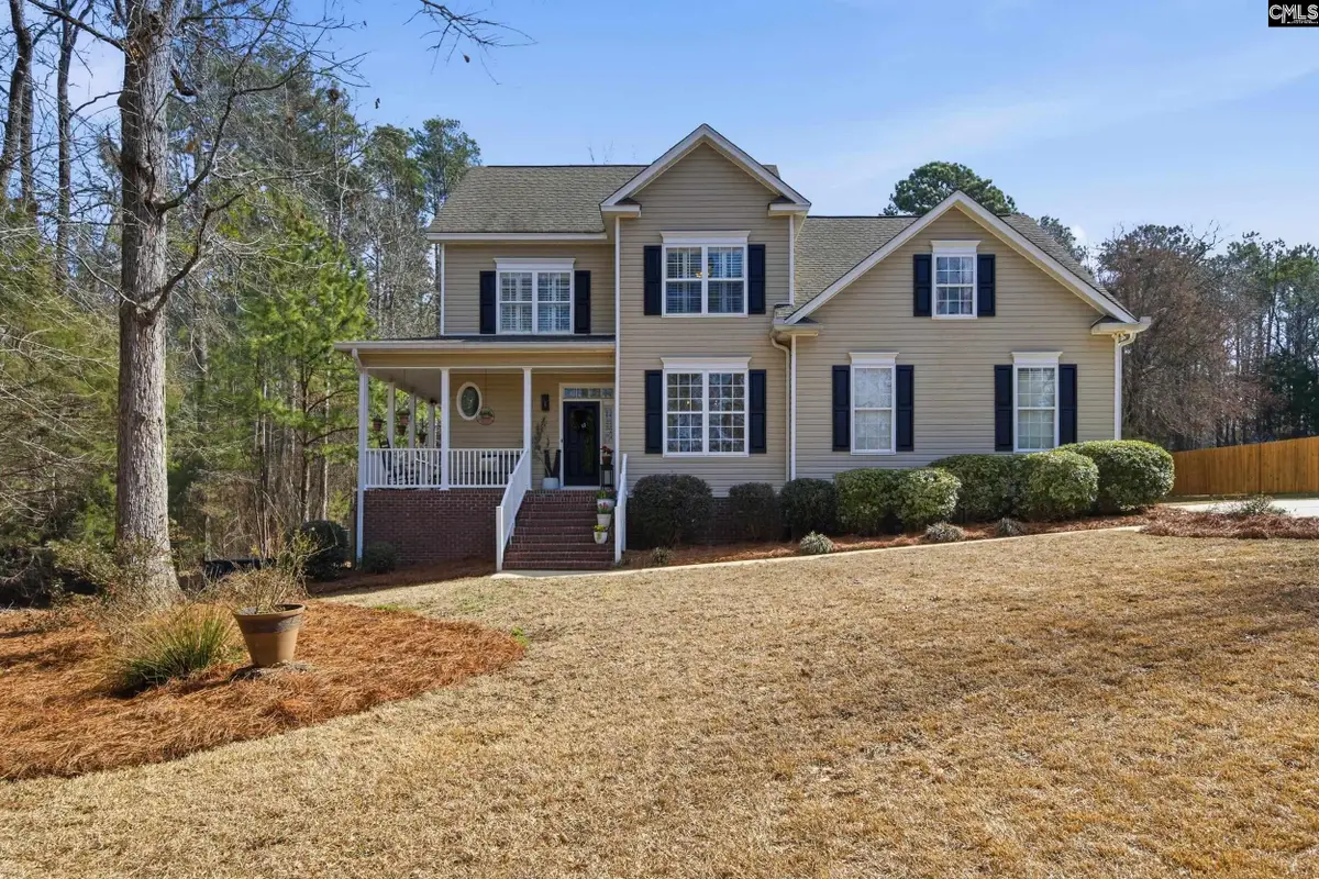 125 Mary Drive, Chapin, SC 29063 - #1