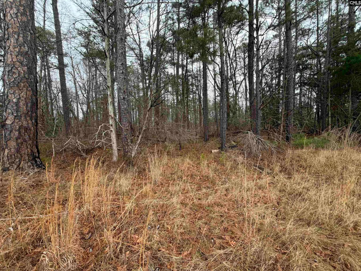 0 Saint Phillips Chruch Road, Prosperity, SC 29127 - #1