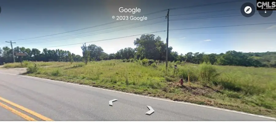 1304 Amicks Ferry Road, Chapin, SC 29036 - #3