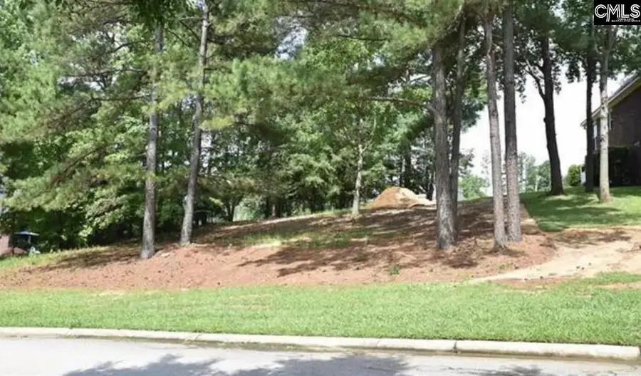 104 Bay Pointe Drive, Chapin, SC 29036 - #3