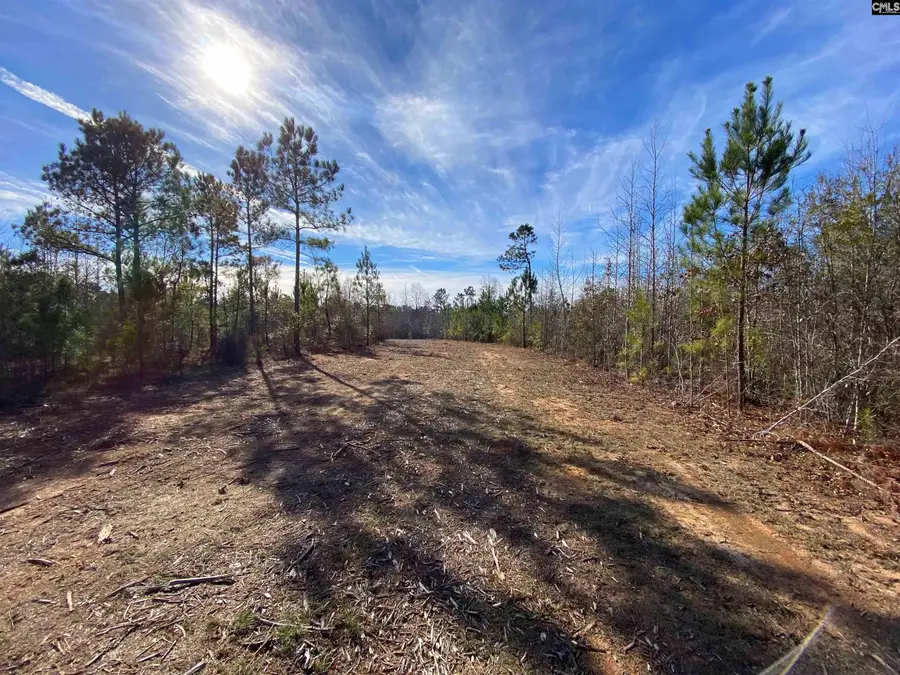 900 Piney Wood Road, Saluda, SC 29138 - #2