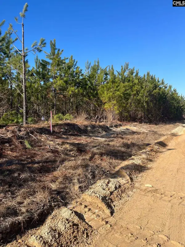 BFF II 8 Brunson Teal Road #BFF II 8, Patrick, SC 29854