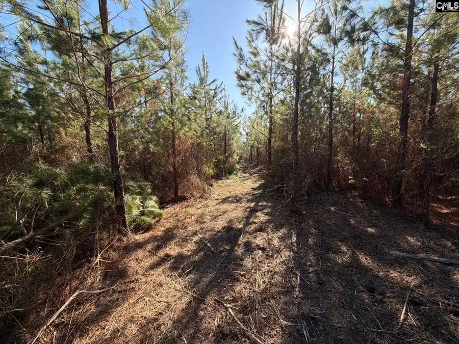 BFF II 8 Brunson Teal Road #BFF II 8, Patrick, SC 29854 - #3