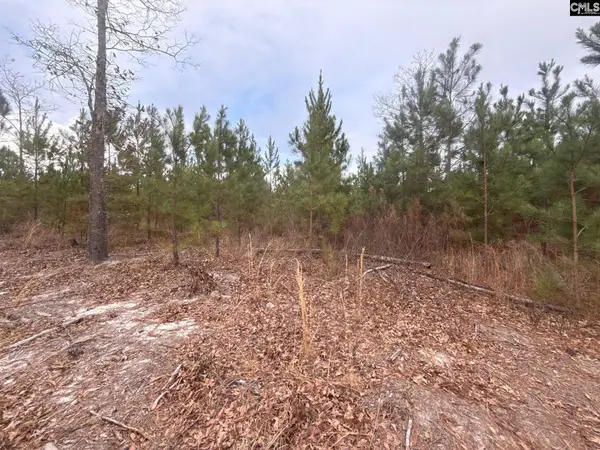 QBF 9 Quattlebaum Road #QBF 9, Leesville, SC 29070