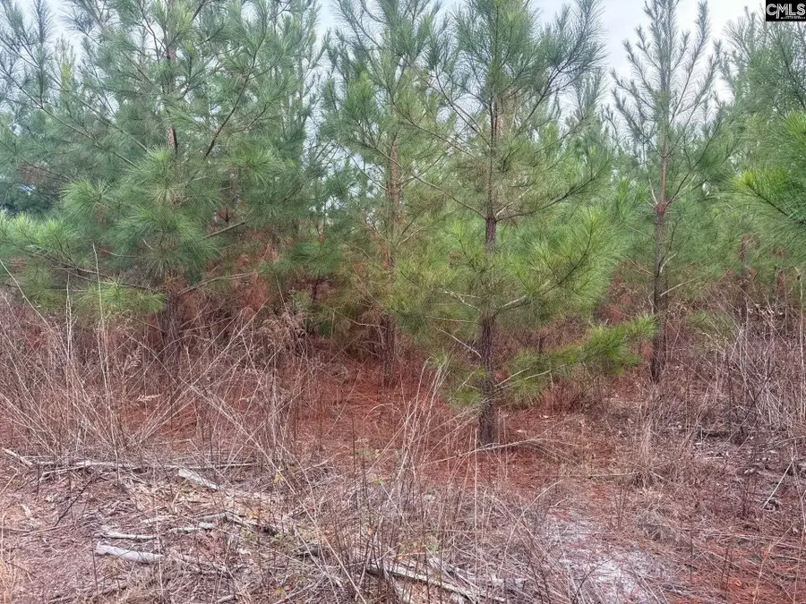 QBF 9 Quattlebaum Road #QBF 9, Leesville, SC 29070 - #2