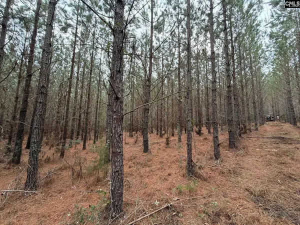 BFF II 2 Jc Barefoot Road #BFF II 2, Patrick, SC 29854