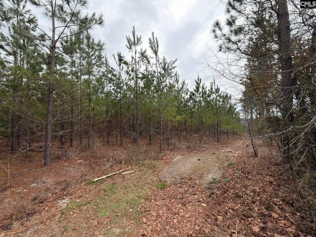 BFF II 3 Jc Barefoot Road #BFF II 3, Patrick, SC 29854 - #1