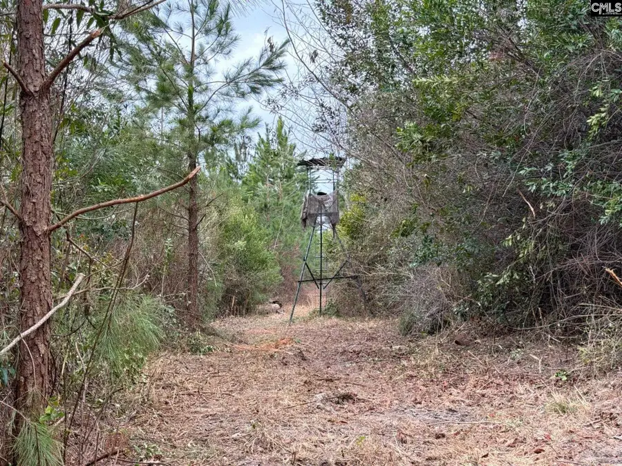 BFF II 3 Jc Barefoot Road #BFF II 3, Patrick, SC 29854 - #2