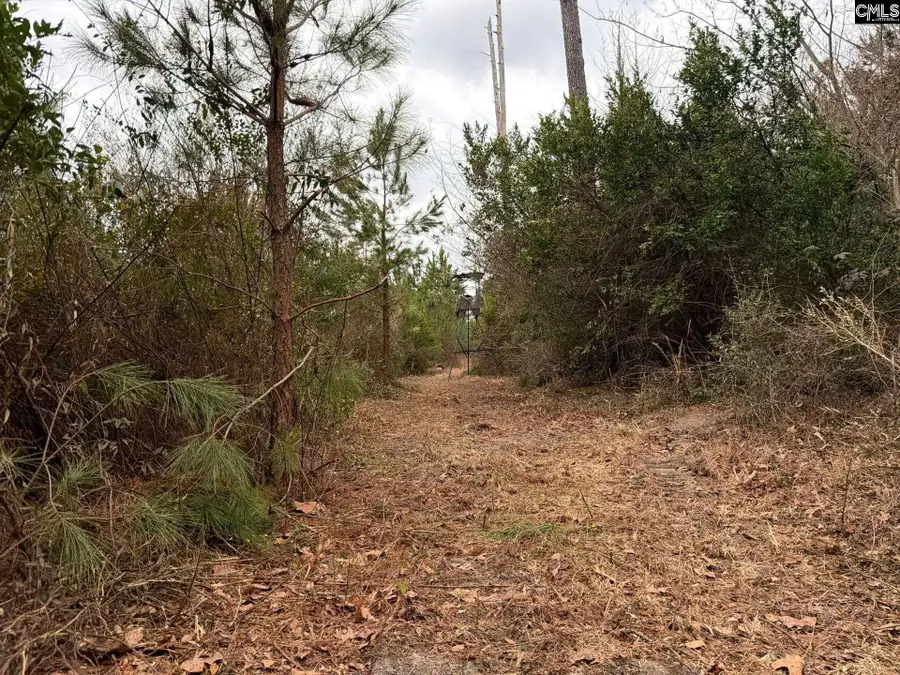 BFF II 3 Jc Barefoot Road #BFF II 3, Patrick, SC 29854 - #3