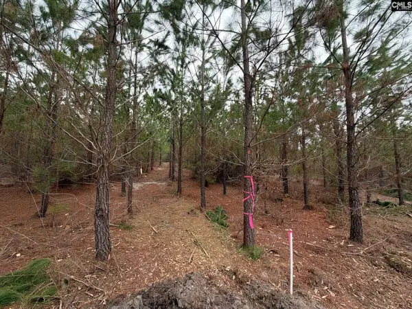 BFF II 4 Jc Barefoot Road #BFF II 4, Patrick, SC 29854