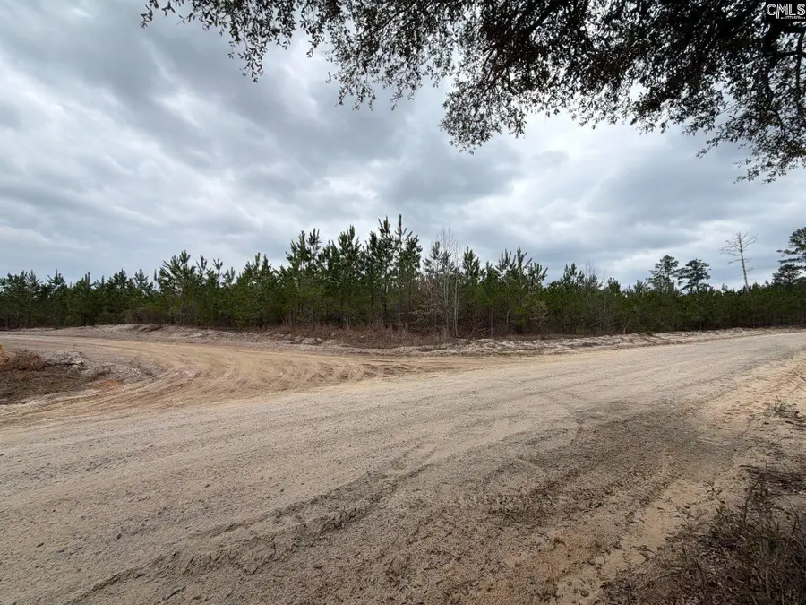 BFF II 5 Brunson Teal Road #BFF II 5, Patrick, SC 29854 - #2