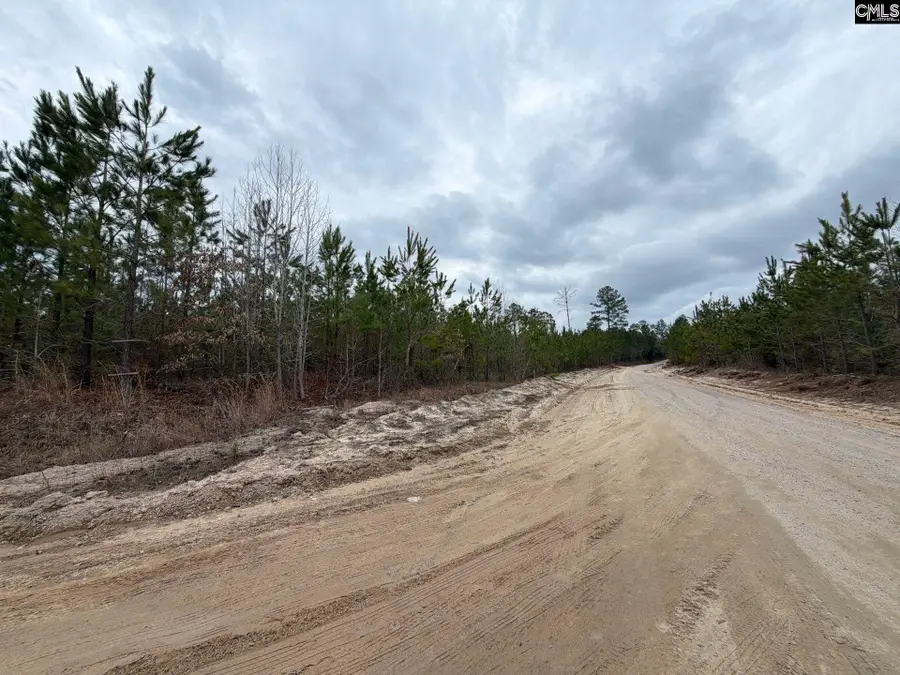 BFF II 5 Brunson Teal Road #BFF II 5, Patrick, SC 29854 - #3